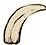 Wild boar's tusk