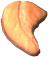 Chicken Breast