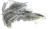 Beehive Husk