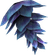 Baldris Root