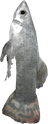 Silverling