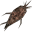 Ash Yam