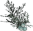 Juniper Berries