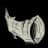 Beefalo Horn