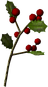 Snowberries