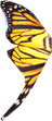 Yellow Butterfly Wing
