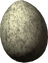 Chicken's Egg