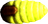 Torchbug Thorax