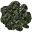 Green Lichen