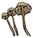 Cave mushroom