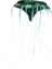 Glowing Mushroom