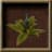 Ogreleaf