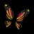 Butterfly Wings