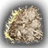 Wool