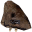 Bear Pelt