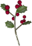 Holly Berry