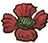 Poppy