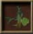 Armorweed