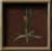Sunweed