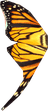 Butterfly Wing