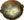 Berit's Ashes