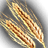 Wheat