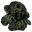 Black Lichen