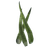 Aloe Vera Leaves
