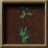 King's sorrel