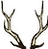 Antlers