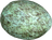 Bird Egg