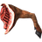 Leg of Goat