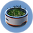 Basic Plant Pot