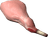 Raw Rabbit Leg