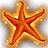 Magical Glowing Starfish