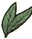 Sage