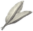 Felsaad Tern Feathers