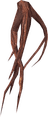 Root