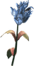 Blue Mountain Flower