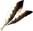 Hawk Feathers