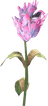 Purple Mountain Flower