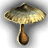 Penny Bun Mushroom