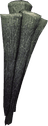 Lichen