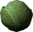 Cabbage