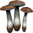 Red Russula