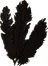 Hagraven Feathers