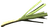 Leek