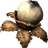 Swamp Fungal Pod