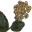 Gold Kanet