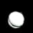 Light Bulb